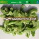 IQF frozen balsam pear