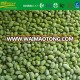 IQF frozen organic soybean kernels