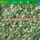 IQF frozen organic soybean kernels